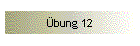 bung 12