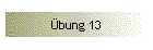 bung 13