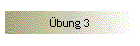 bung 3