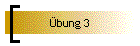 bung 3