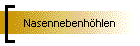 Nasennebenhhlen