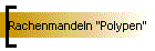 Rachenmandeln "Polypen"