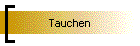 Tauchen